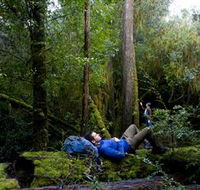 The Tarkine Drive - Accommodation Sunshine Coast