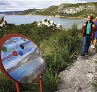 Rocky Cape National Park - Accommodation Sunshine Coast