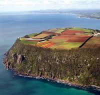 Table Cape - Accommodation Sunshine Coast