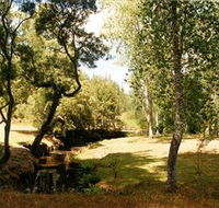 Oldina Picnic Area - Accommodation Sunshine Coast