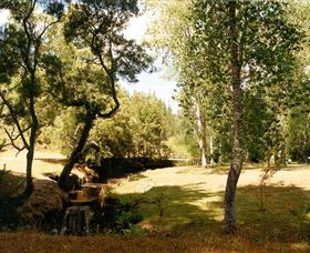 Oldina Picnic Area - Accommodation Sunshine Coast 0
