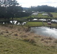 Guide Falls Farm - Accommodation Sunshine Coast