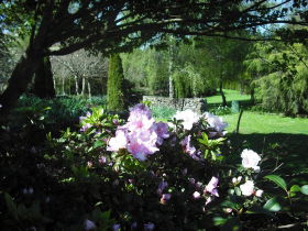Annsleigh Gardens And Cafe - Accommodation Sunshine Coast 3