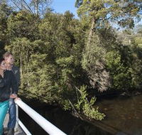 Hellyer Gorge - Accommodation Sunshine Coast