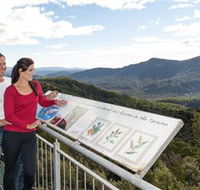 Whyte Hills Lookout - Accommodation Sunshine Coast