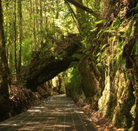 Philosopher Falls - Accommodation Sunshine Coast