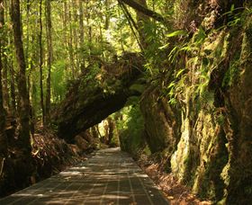 Philosopher Falls - Accommodation Sunshine Coast 0