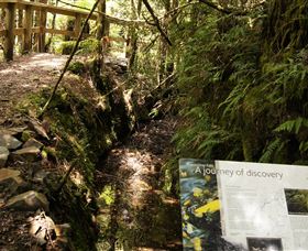 Philosopher Falls - Accommodation Sunshine Coast 1