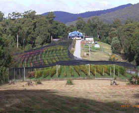 North Motton TAS Accommodation Sunshine Coast