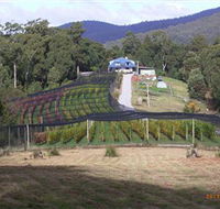 Motton Terraces - Accommodation Sunshine Coast