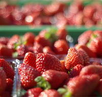 Turners Beach Berry Patch - Accommodation Sunshine Coast