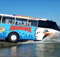 Aquaduck Safaris - Accommodation Sunshine Coast