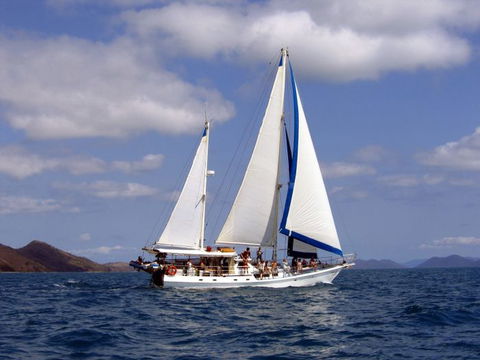 Adventure, Cruise, Dive And Outer Reef - Whitsundays Sailing Adventures - Accommodation Sunshine Coast 6