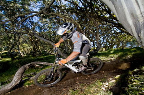 All Terrain Cycles - Accommodation Sunshine Coast 0