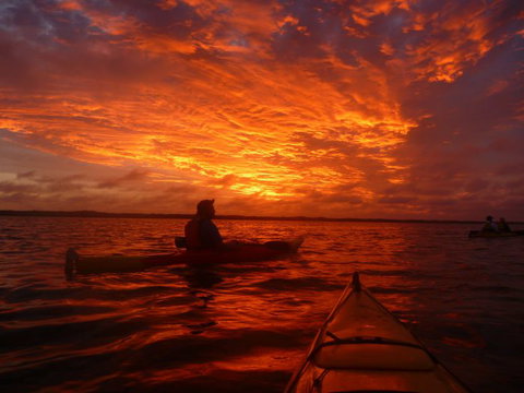 Canoe The Coorong - Accommodation Sunshine Coast 3