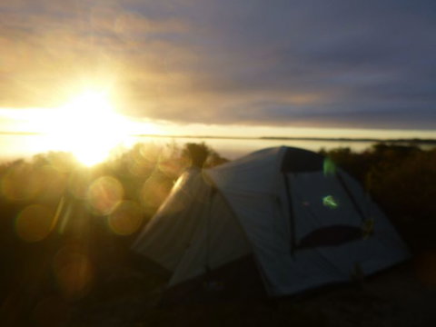 Canoe The Coorong - Accommodation Sunshine Coast 13