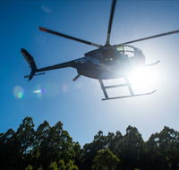 Tall Timbers Adventure Tours - Accommodation Sunshine Coast