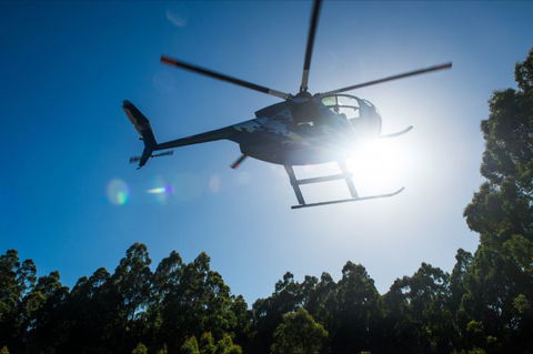 Tall Timbers Adventure Tours - Accommodation Sunshine Coast 7