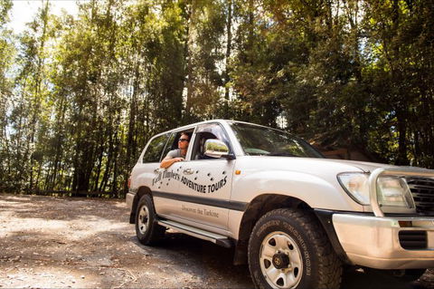 Tall Timbers Adventure Tours - Accommodation Sunshine Coast 11