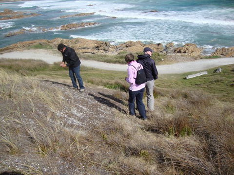 Tall Timbers Adventure Tours - Accommodation Sunshine Coast 12