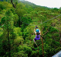 Canyon Flyer - Accommodation Sunshine Coast