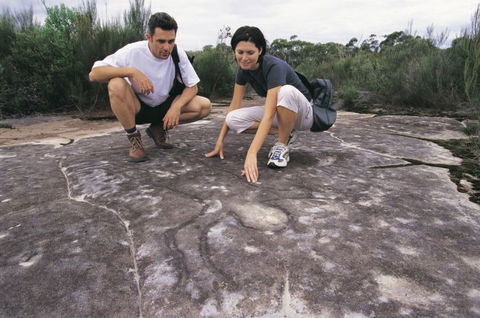 Sydney Coast Walks - Accommodation Sunshine Coast 2