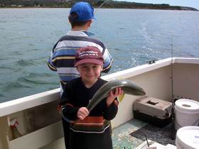Tory M Fishing Charters - Accommodation Sunshine Coast 0