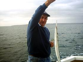 Tory M Fishing Charters - Accommodation Sunshine Coast 1