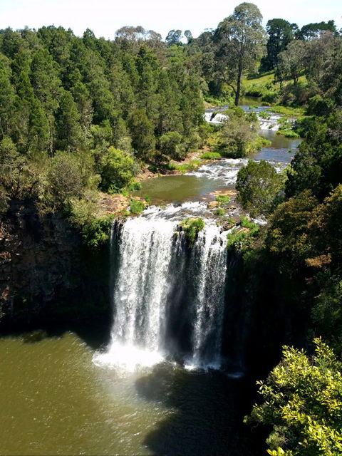 A1 Coffs Coast Tours - Accommodation Sunshine Coast 5