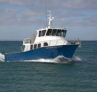 Southern Coast Charters - Accommodation Sunshine Coast