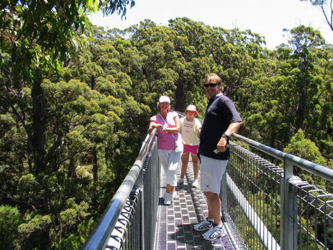 Out Of Sight Tours - Accommodation Sunshine Coast 15