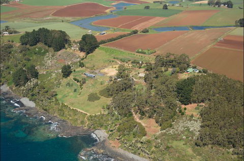 Winged House - The - Accommodation Sunshine Coast 0