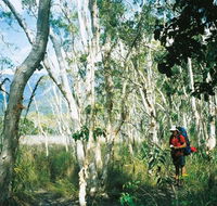 Thorsborne Trail Hinchinbrook Island National Park - Accommodation Sunshine Coast