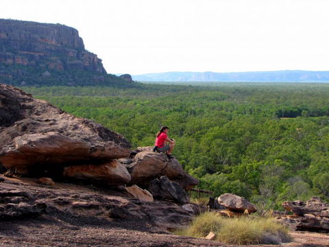Echidna Walkabout Nature Tours - Accommodation Sunshine Coast 21