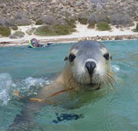 Calypso Star Charters - Accommodation Sunshine Coast