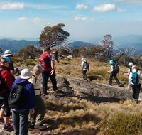 Hedonistic Hiking - Accommodation Sunshine Coast