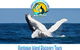 Lighthouse Charters Narooma - thumb 0