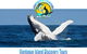 Lighthouse Charters Narooma - thumb 3