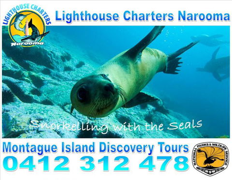 Lighthouse Charters Narooma - Accommodation Sunshine Coast 11