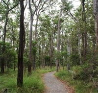 Caboolture Regional Environment Education Centre - Walking Trails - Accommodation Sunshine Coast