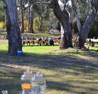 Glendale Citrus  Hazelnut Orchard - Accommodation Sunshine Coast