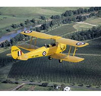 Royal Newcastle Aero Club - Accommodation Sunshine Coast