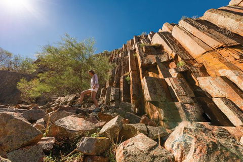Nullarbor Traveller - Accommodation Sunshine Coast 14