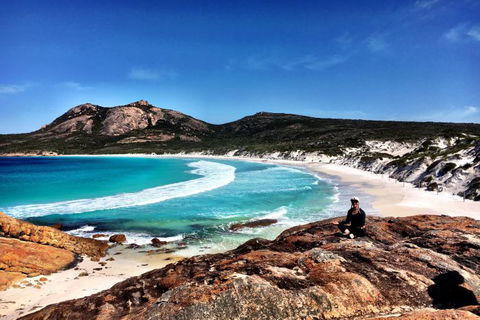 Nullarbor Traveller - Accommodation Sunshine Coast 26