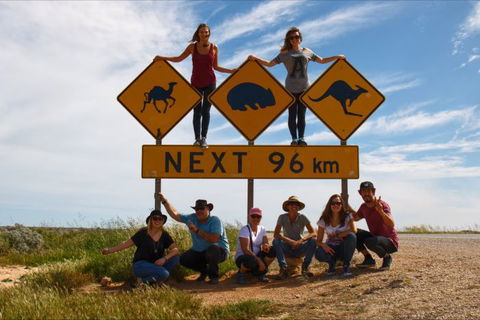 Nullarbor Traveller - Accommodation Sunshine Coast 35
