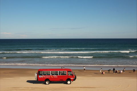 Port Stephens 4WD Tours - Accommodation Sunshine Coast 7