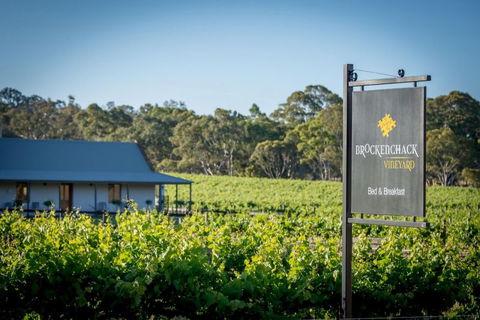 Brockenchack Vineyard - Accommodation Sunshine Coast 1
