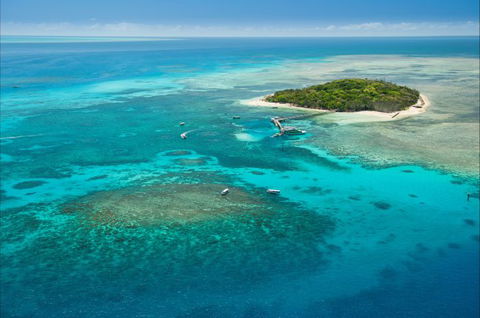 Big Cat Green Island Reef Cruises - Accommodation Sunshine Coast 6