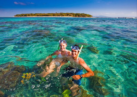 Big Cat Green Island Reef Cruises - Accommodation Sunshine Coast 12