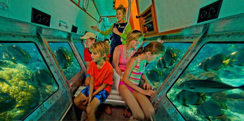 Big Cat Green Island Reef Cruises - Accommodation Sunshine Coast 14
